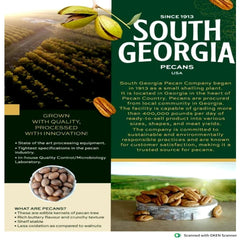Pecan Nuts 170g, Fresh Pecans, Pecan Nuts Without Shell, Jumbo Pecan Nut georgia origin
