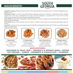 Pecan Nuts 170g, Fresh Pecans, Pecan Nuts Without Shell, Jumbo Pecan Nut georgia origin