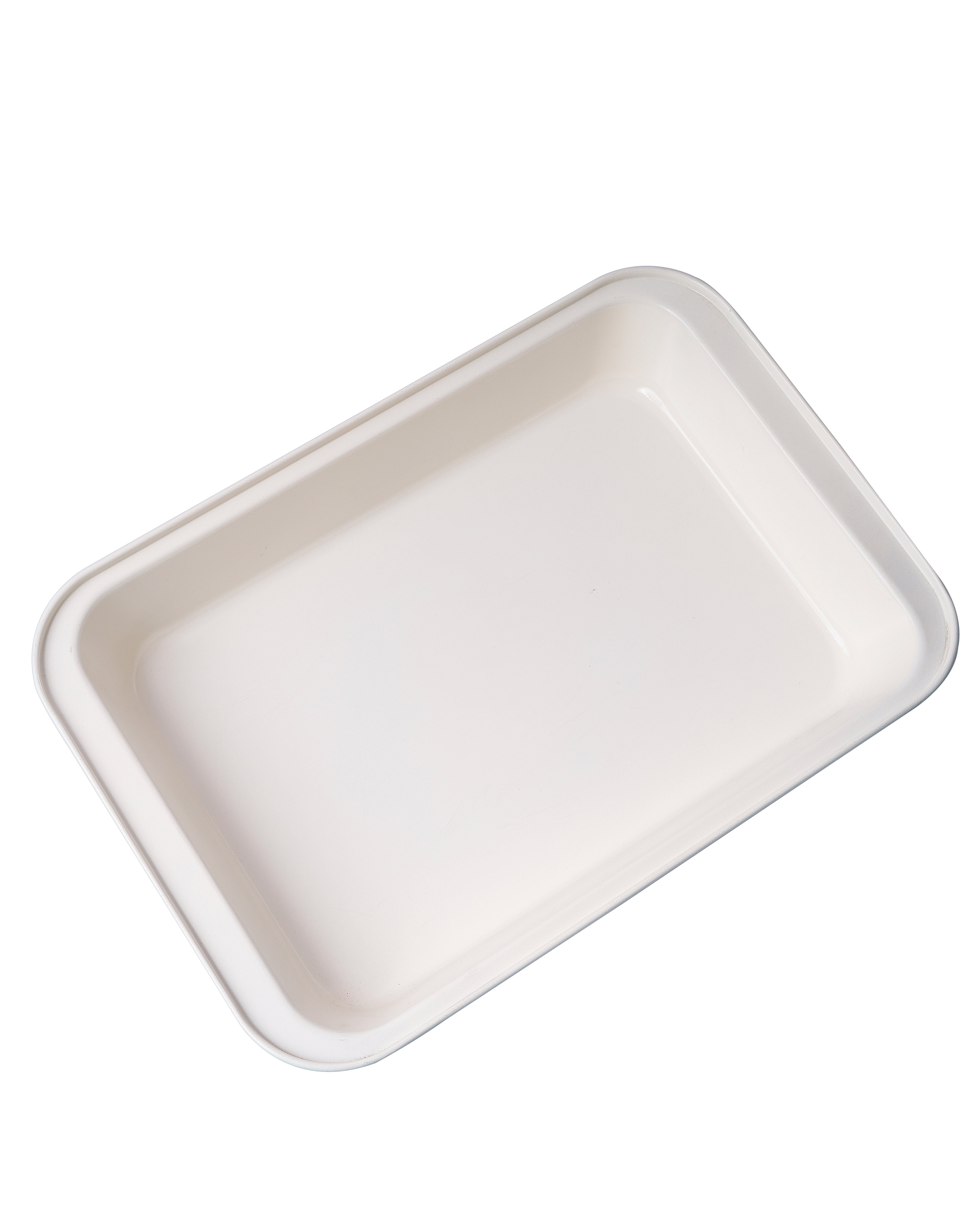 Mint Harmony Rectangular Baking Tray | Baking Cart